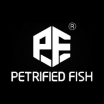 Petrified Fish